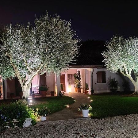 B&B Flavio E Catia Marotta Zewnętrze zdjęcie