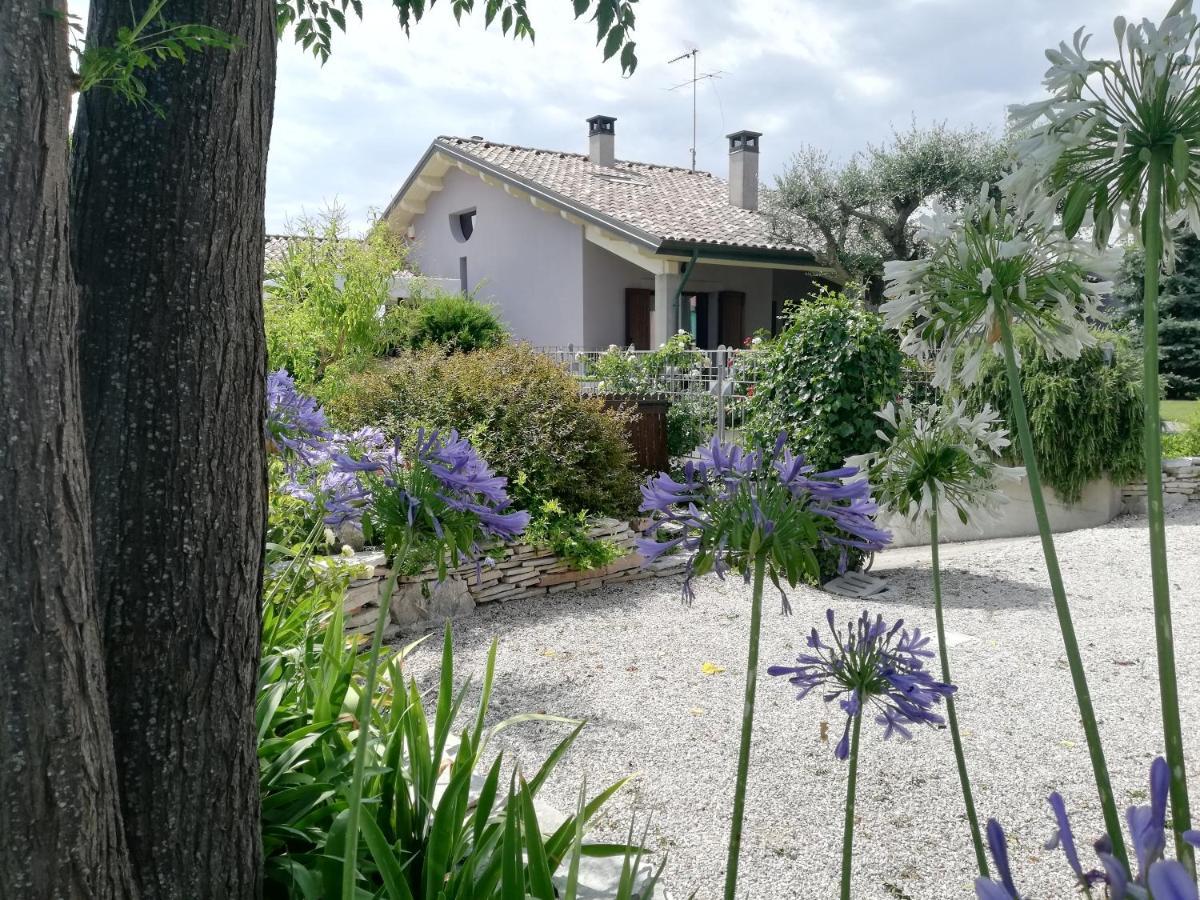 B&B Flavio E Catia Marotta Zewnętrze zdjęcie